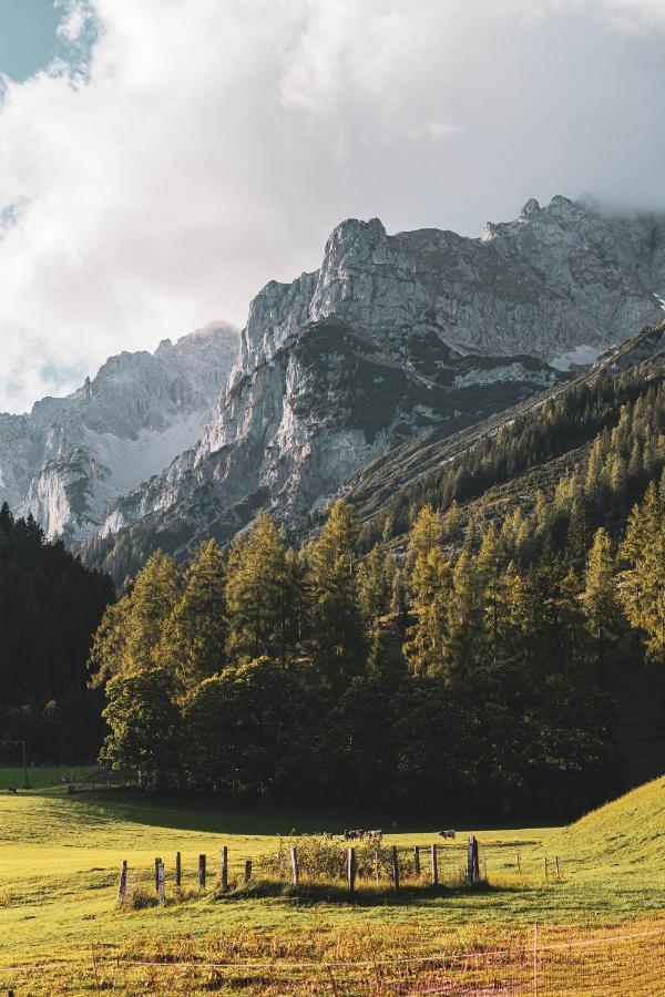 Bio Hotel Feistererhof - Charmant Natürlich seit 1448 Ramsau am Dachstein Exterior foto